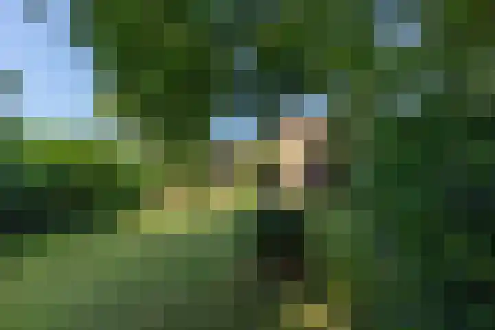 Worth Rhedenseweg 17 Rheden thumbnail 43