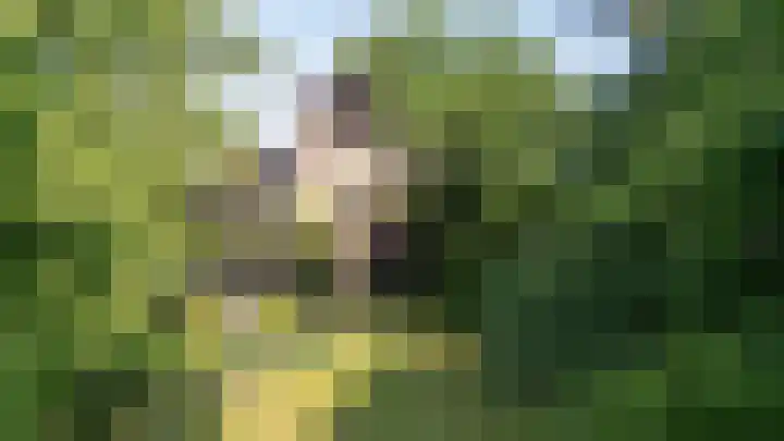Worth Rhedenseweg 17 Rheden thumbnail 51