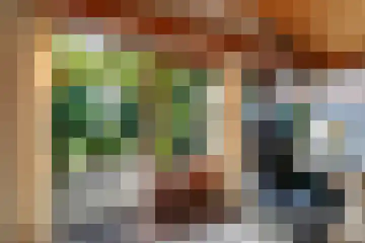 Worth Rhedenseweg 17 Rheden thumbnail 7
