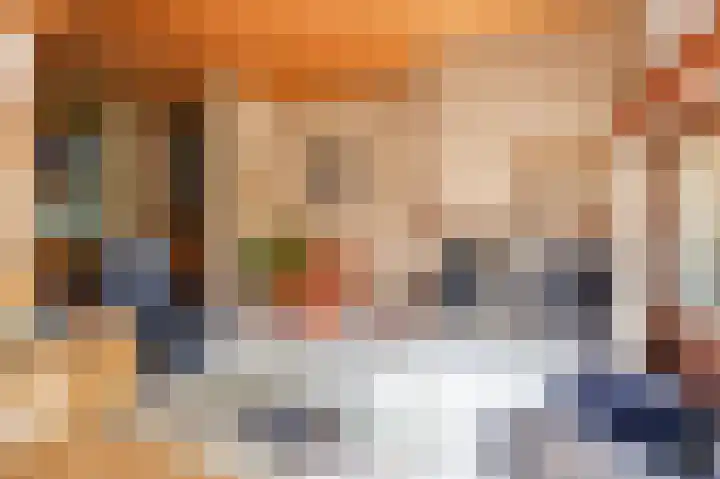 Worth Rhedenseweg 17 Rheden thumbnail 8