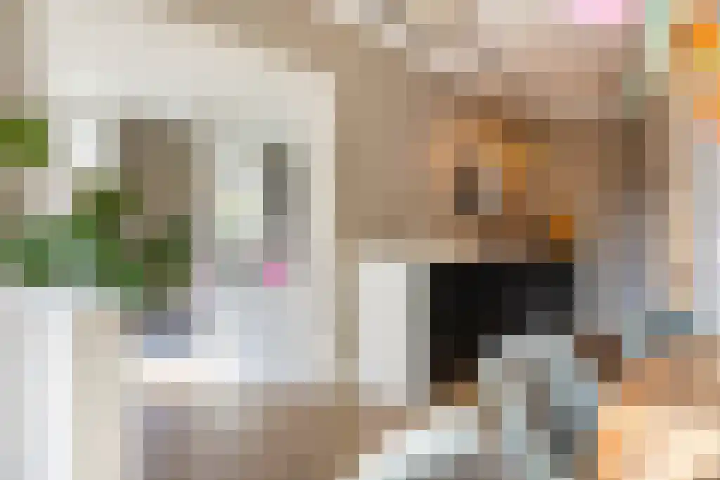 Worth Rhedenseweg 2 Rheden thumbnail 6