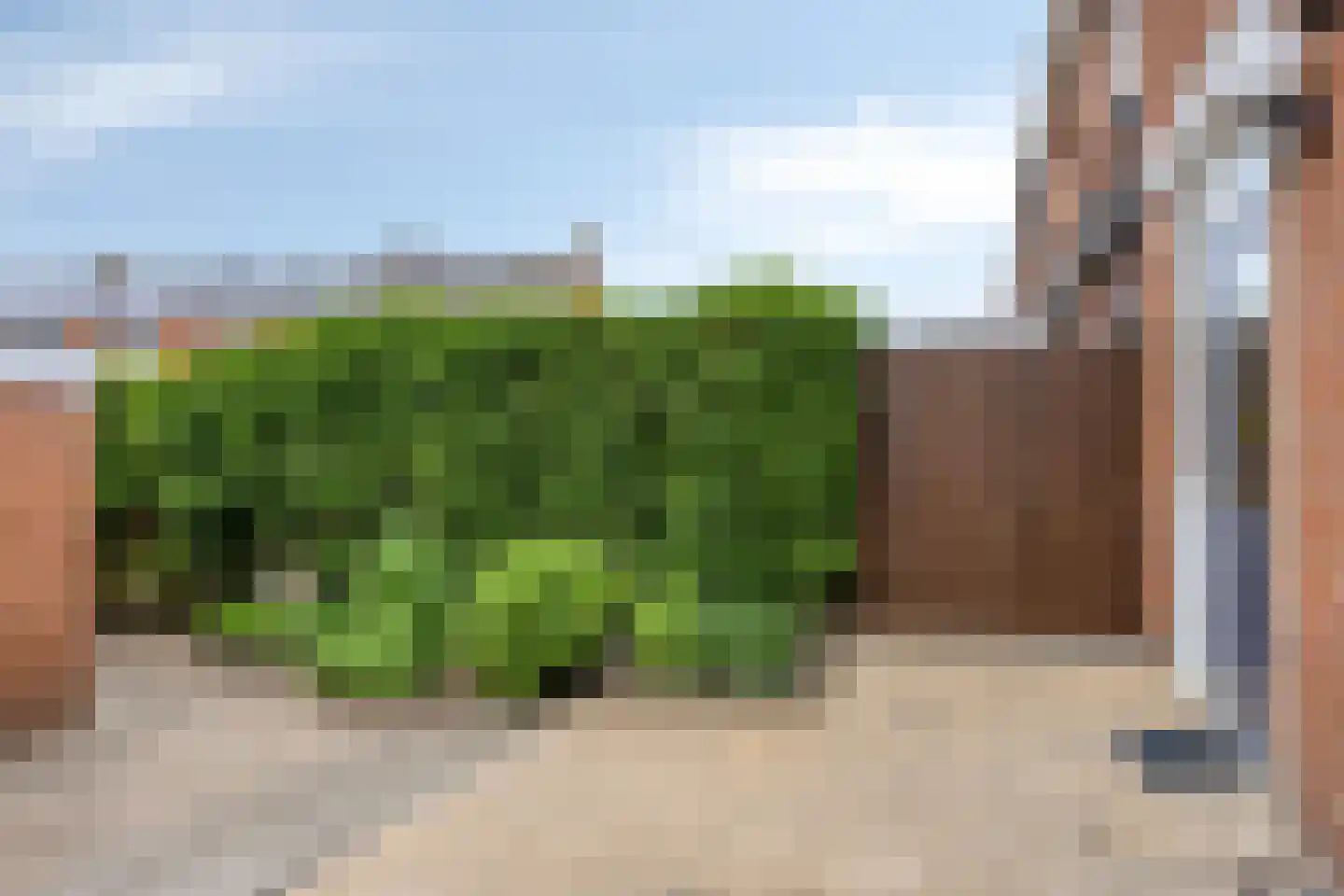 Wortmanstraat 81 Kampen thumbnail 33
