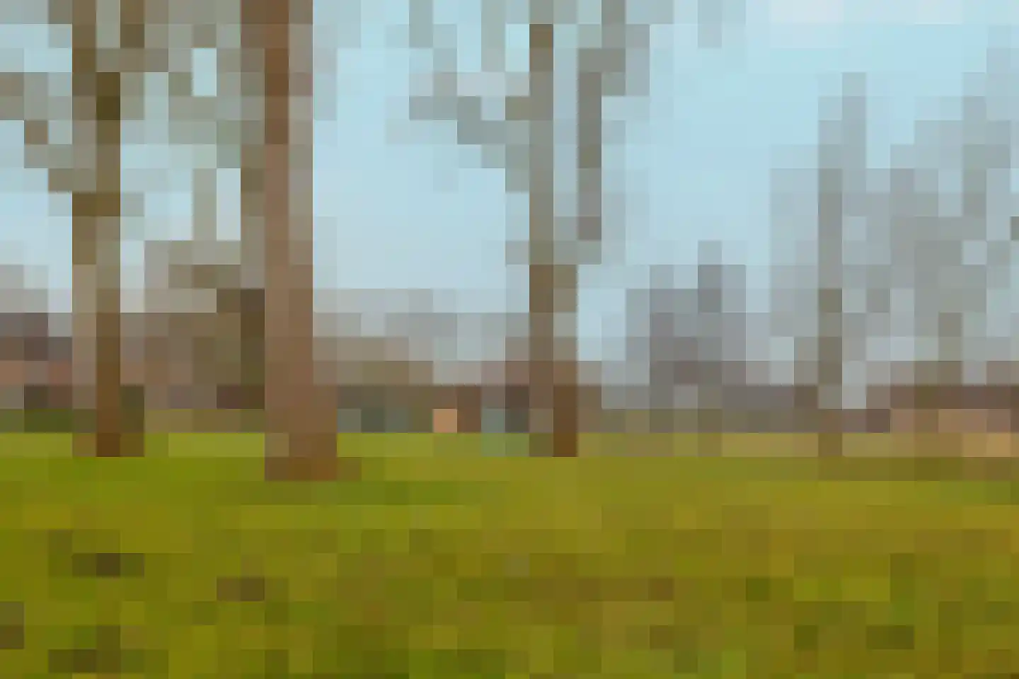 Wostokplein 8 Krommenie thumbnail 40