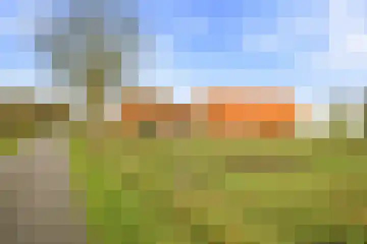 Wottelweg 9 Haaksbergen thumbnail 62