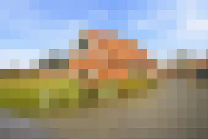 Wottelweg 9 Haaksbergen thumbnail 9