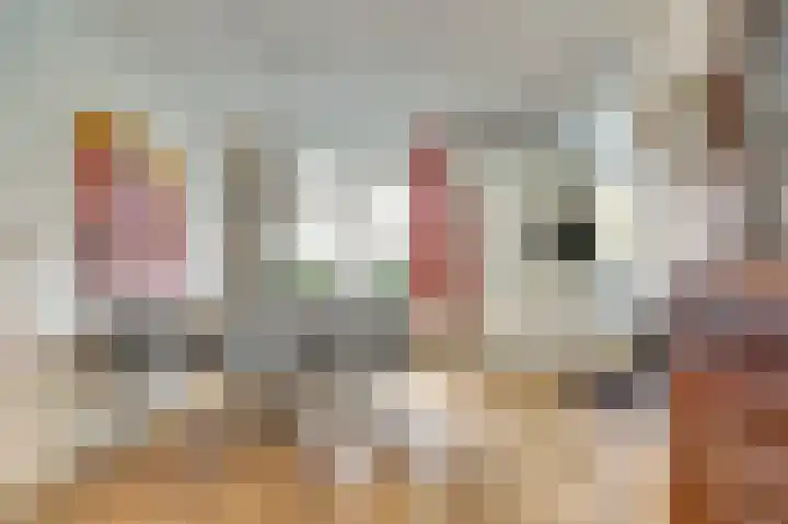 Woubrechterf 104 Waddinxveen thumbnail 14