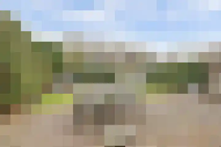 Woubrechterf 104 Waddinxveen thumbnail 37