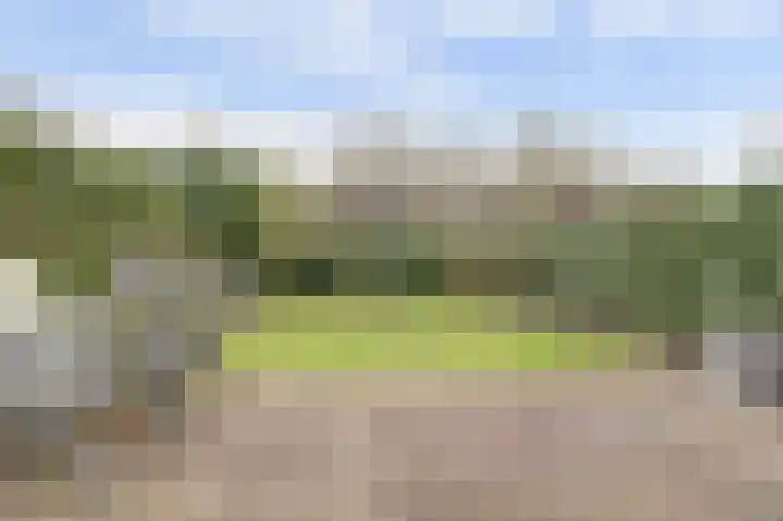 Woubrechterf 104 Waddinxveen thumbnail 38