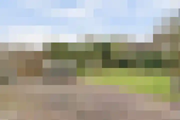 Woubrechterf 104 Waddinxveen thumbnail 39