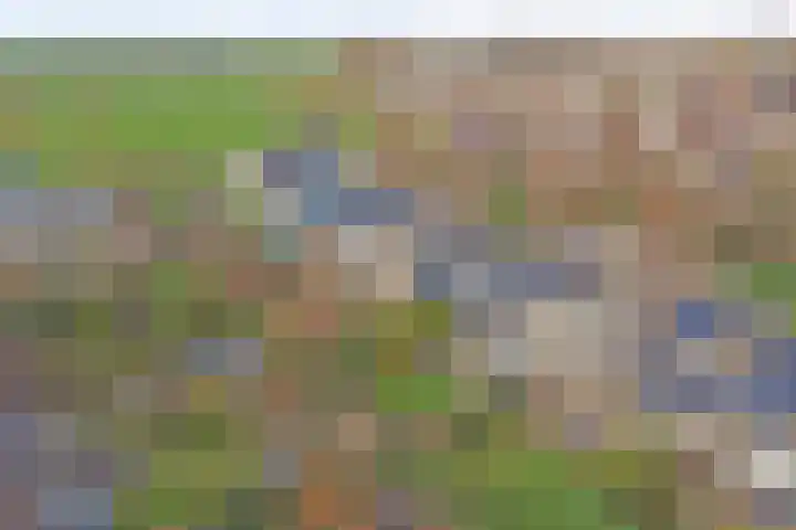 Woubrechterf 104 Waddinxveen thumbnail 46