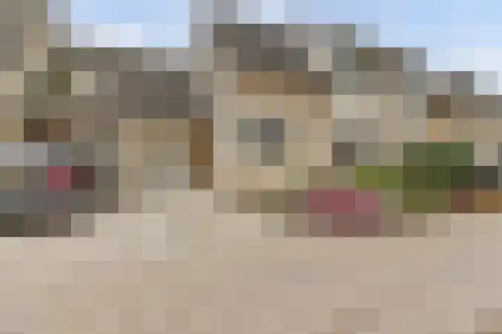 Woubrechterf 104 Waddinxveen thumbnail 6