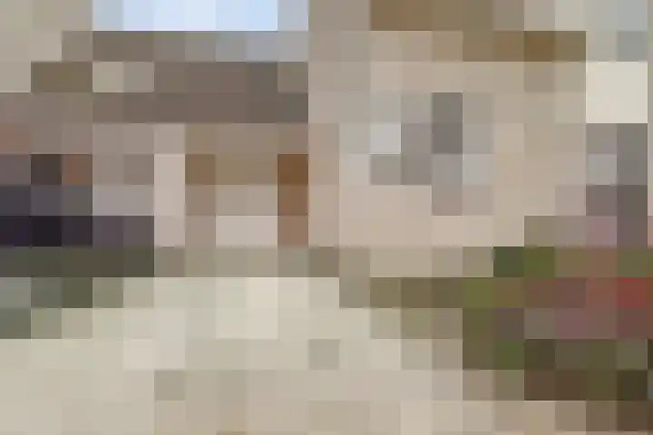 Woubrechterf 104 Waddinxveen thumbnail 7