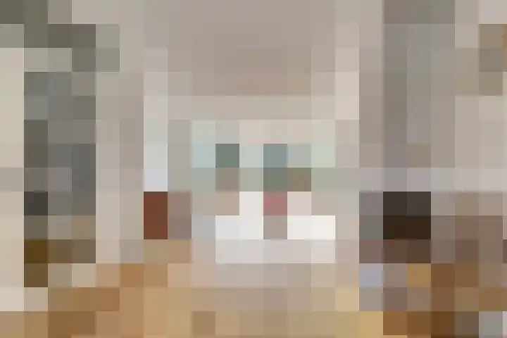 Woubrechterf 104 Waddinxveen thumbnail 8