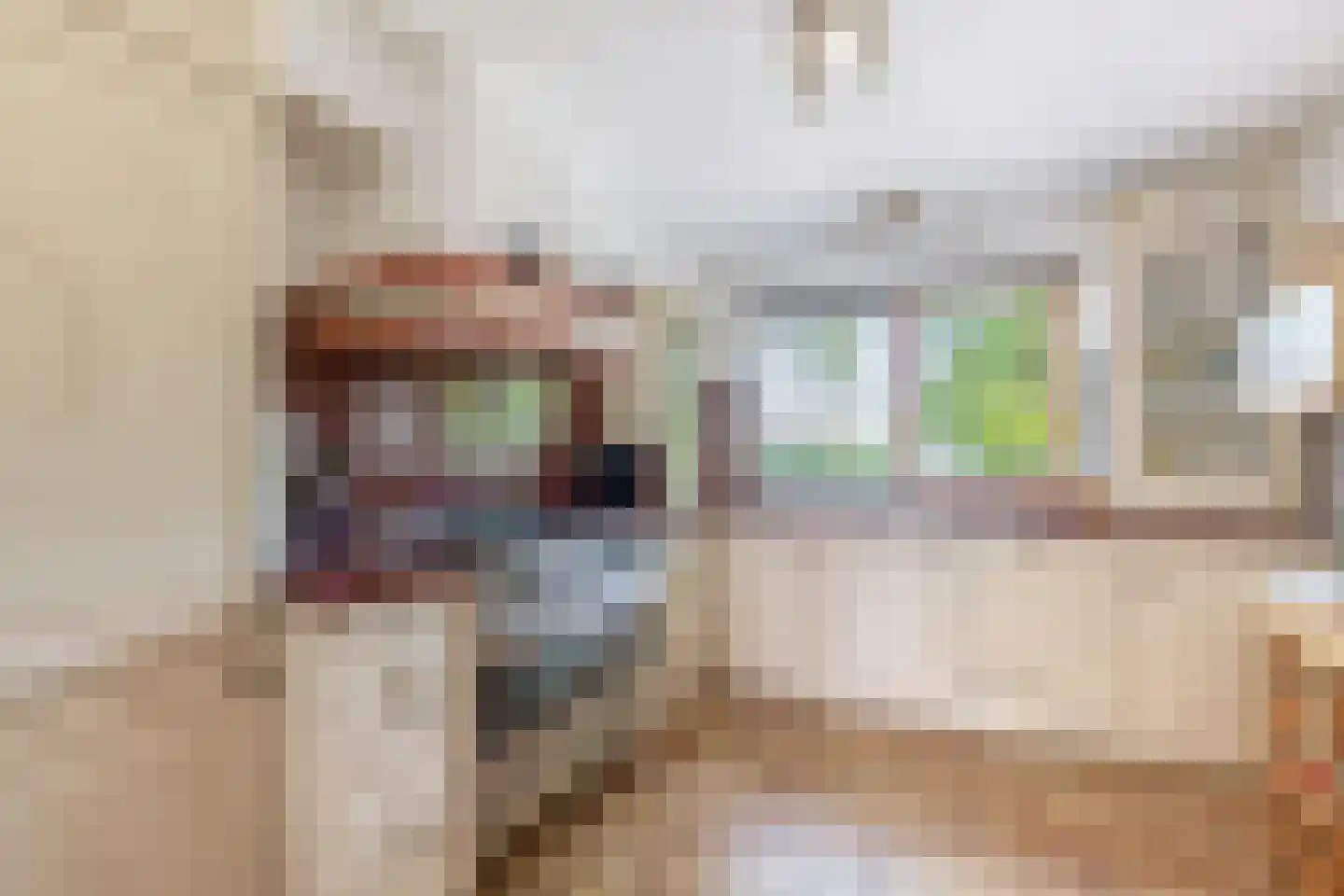 Woubrechterf 12 Waddinxveen thumbnail 12