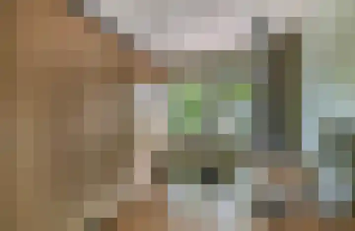 Woubrechterf 14 Waddinxveen thumbnail 25