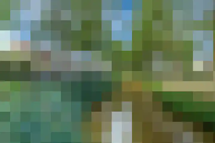 Woubrechterf 14 Waddinxveen thumbnail 30