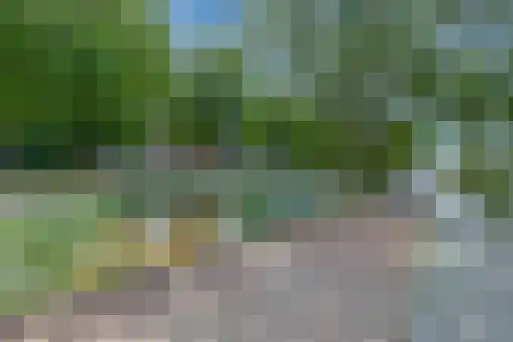 Woubrechterf 14 Waddinxveen thumbnail 31