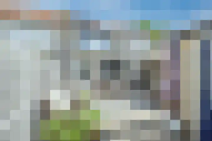 Woubrechterf 14 Waddinxveen thumbnail 5