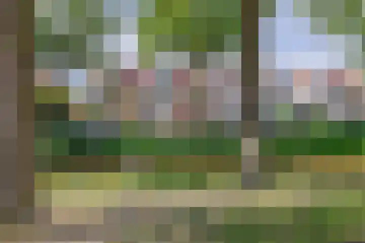 Woubrechterf 14 Waddinxveen thumbnail 6