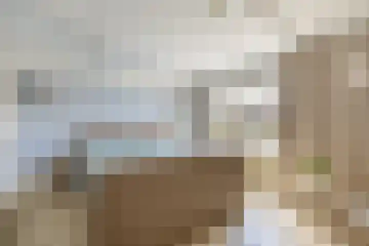Woubrechterf 36 Waddinxveen thumbnail 13