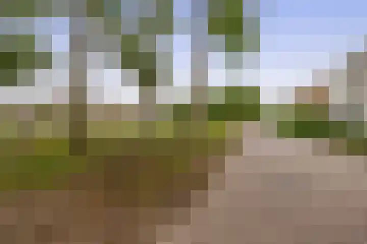 Woubrechterf 36 Waddinxveen thumbnail 29