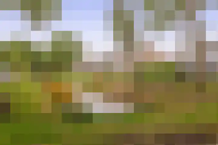Woubrechterf 36 Waddinxveen thumbnail 30