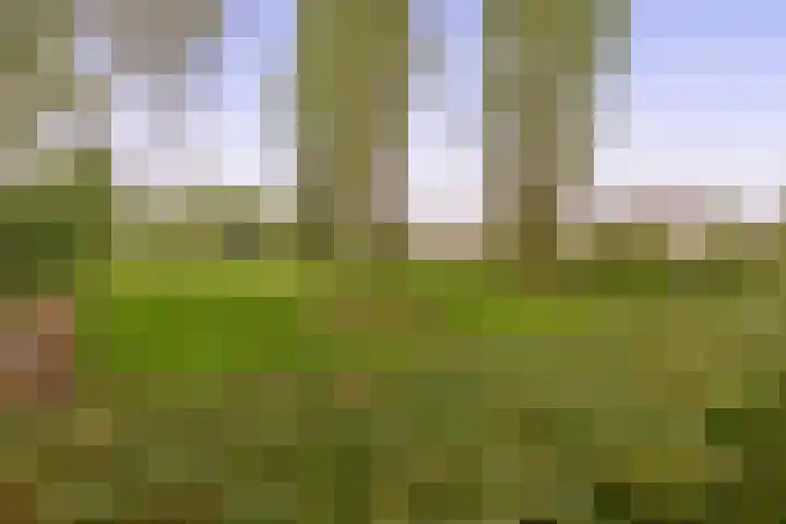 Woubrechterf 36 Waddinxveen thumbnail 31