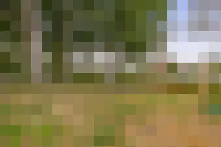 Woubrechterf 36 Waddinxveen thumbnail 32