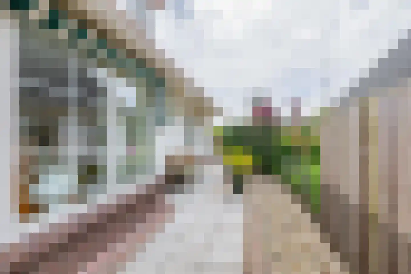 Woubrechterf 37 Waddinxveen thumbnail 21
