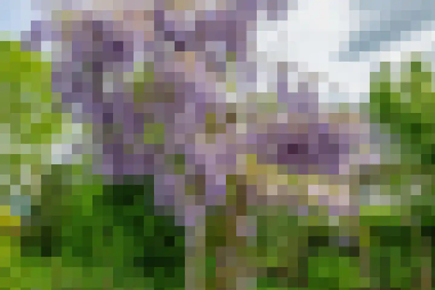 Woubrechterf 37 Waddinxveen thumbnail 27