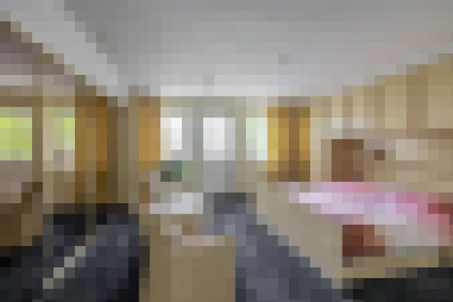 Woubrechterf 37 Waddinxveen thumbnail 31