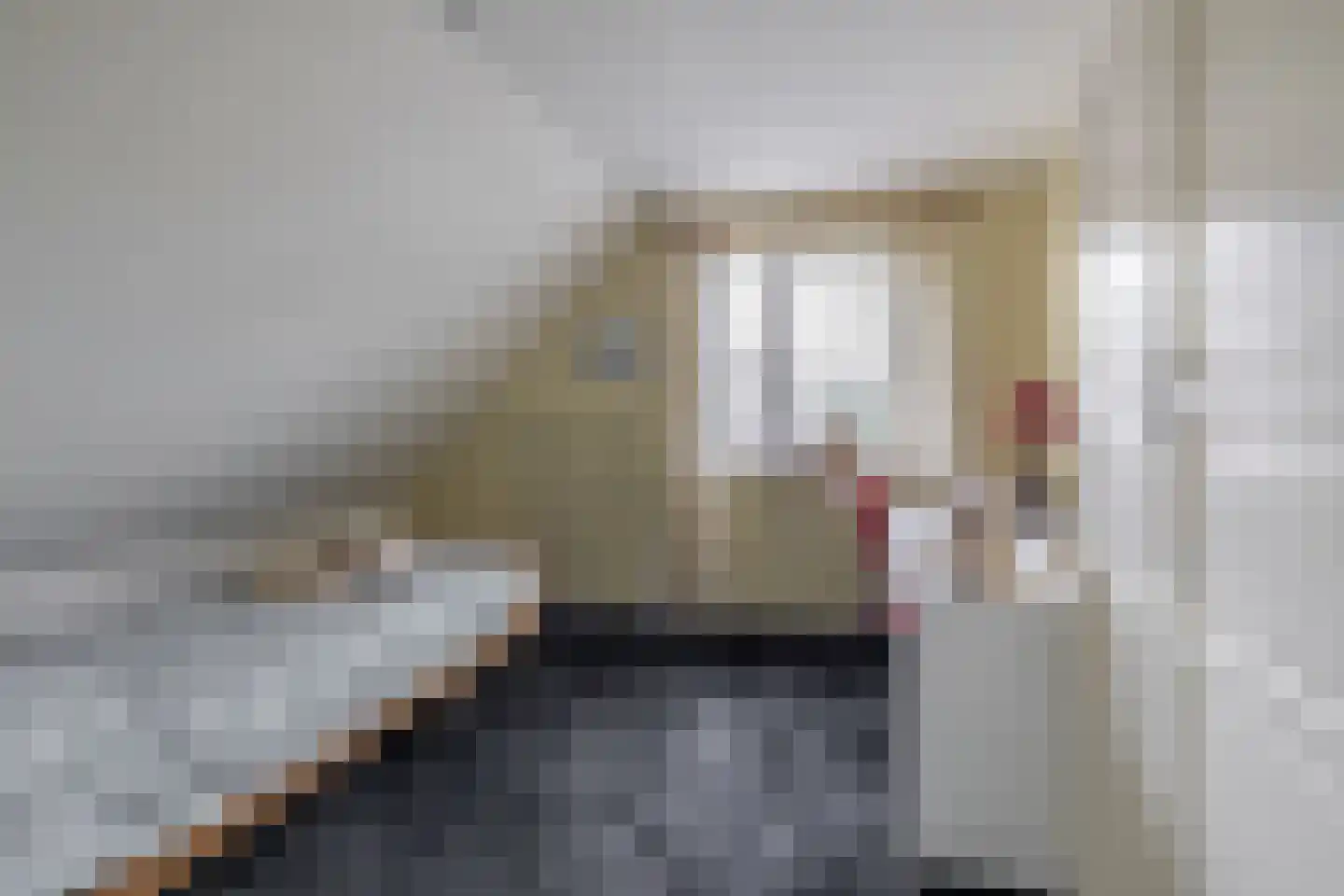 Woubrechterf 37 Waddinxveen thumbnail 39