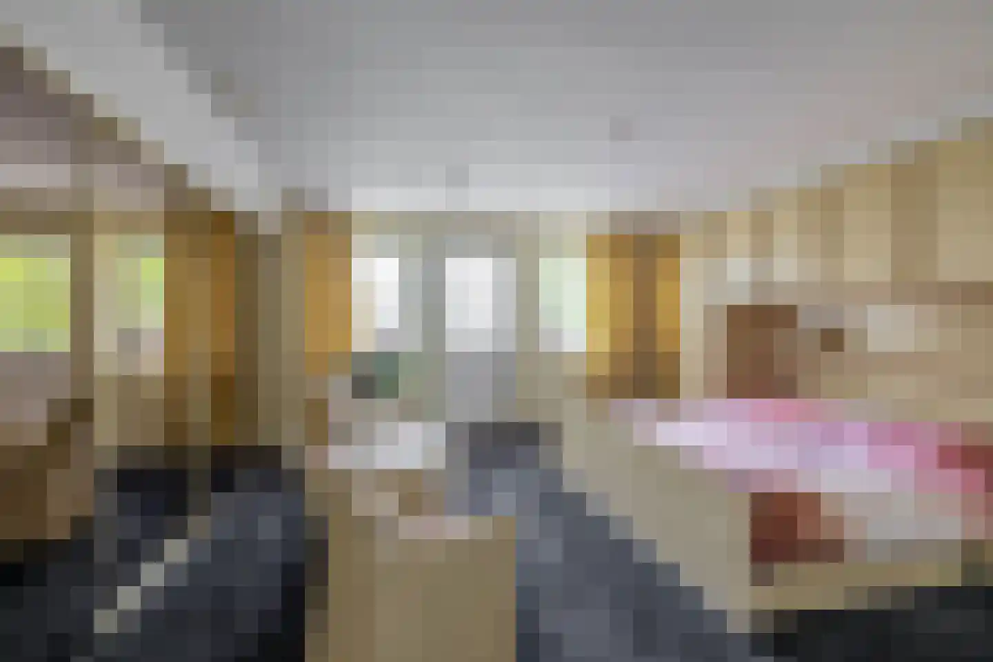 Woubrechterf 37 Waddinxveen thumbnail 4