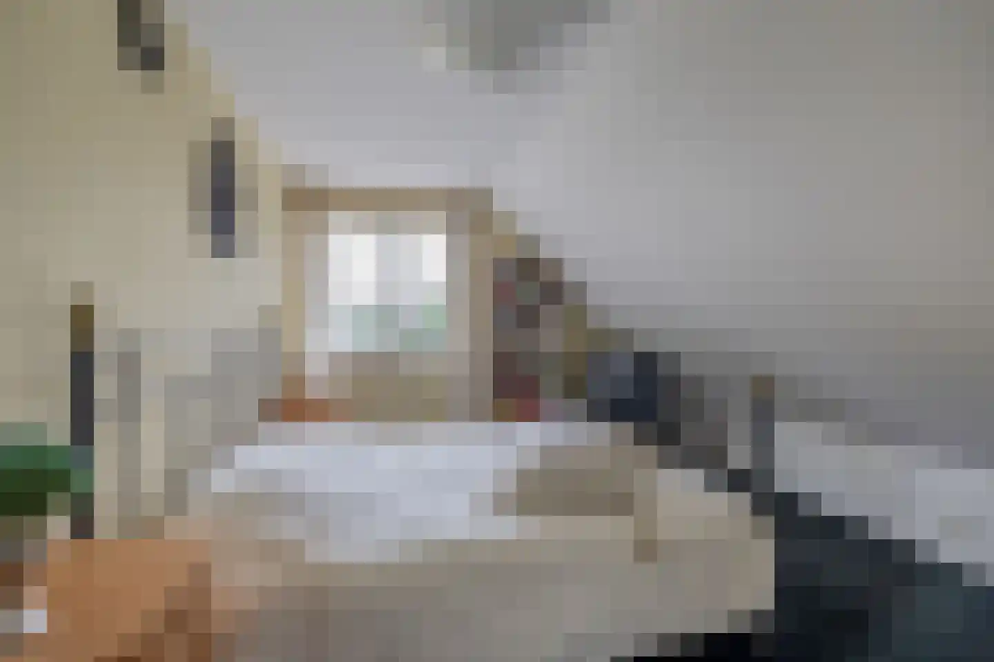 Woubrechterf 37 Waddinxveen thumbnail 40