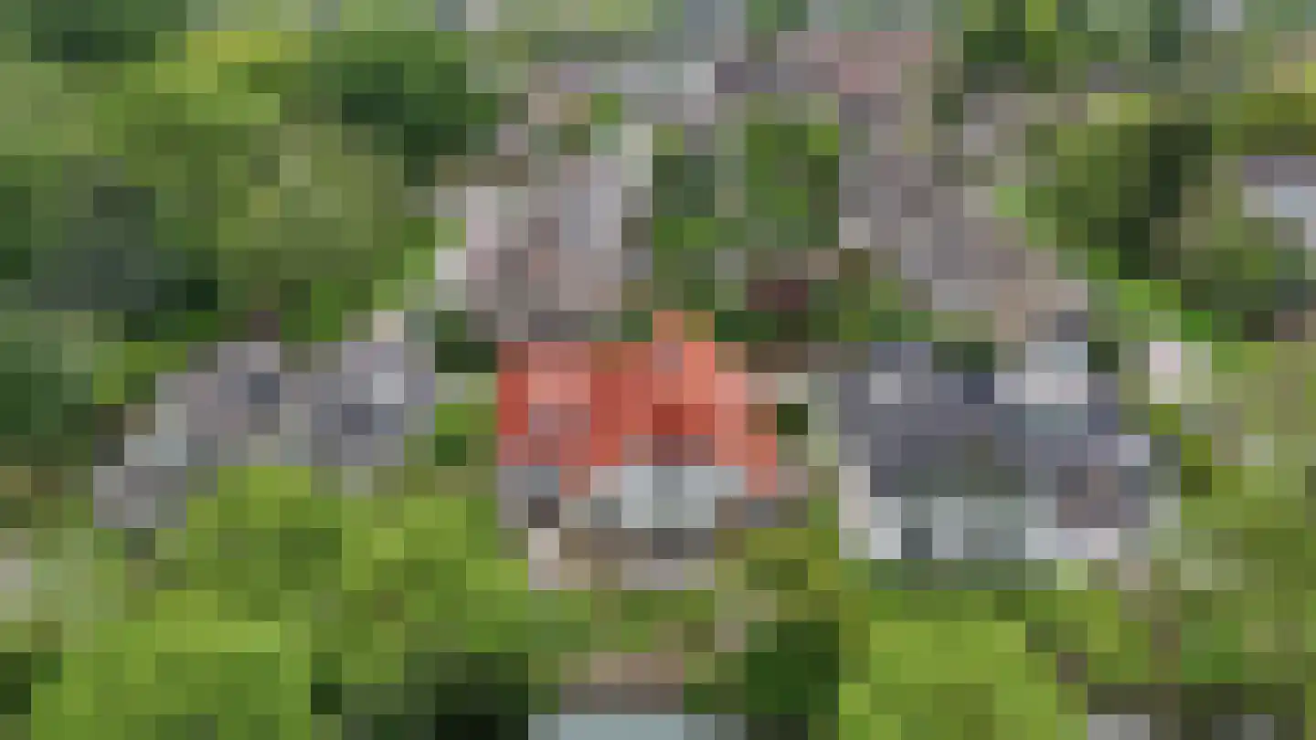 Woubrechterf 37 Waddinxveen thumbnail 5