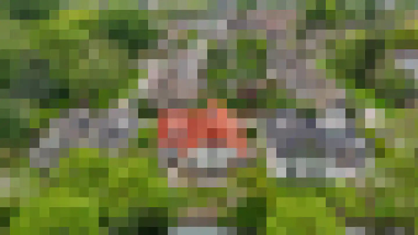 Woubrechterf 37 Waddinxveen thumbnail 54