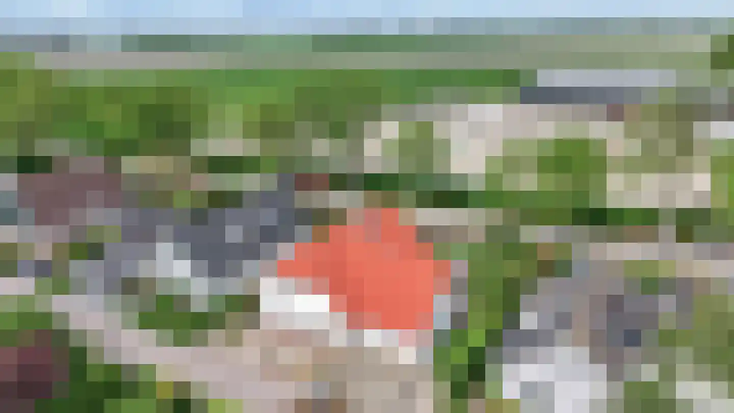 Woubrechterf 37 Waddinxveen thumbnail 6