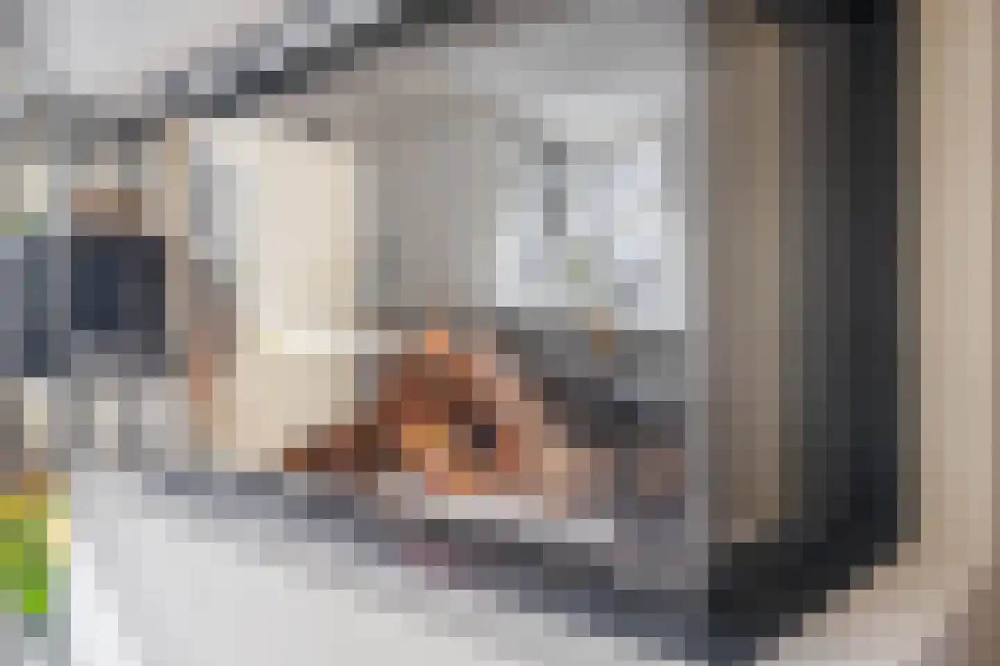 Woubrechterf 47 Waddinxveen thumbnail 10