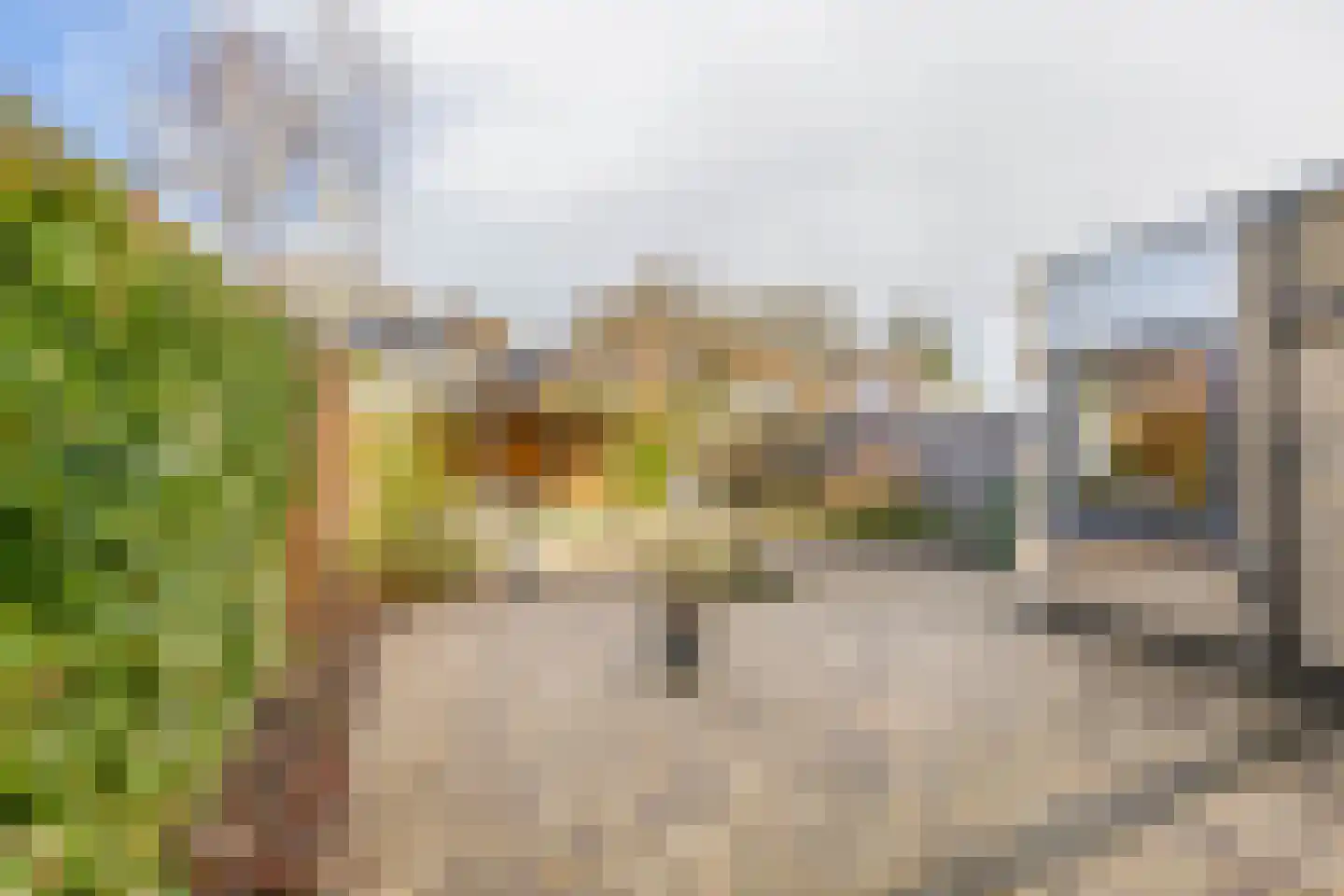 Woubrechterf 47 Waddinxveen thumbnail 31