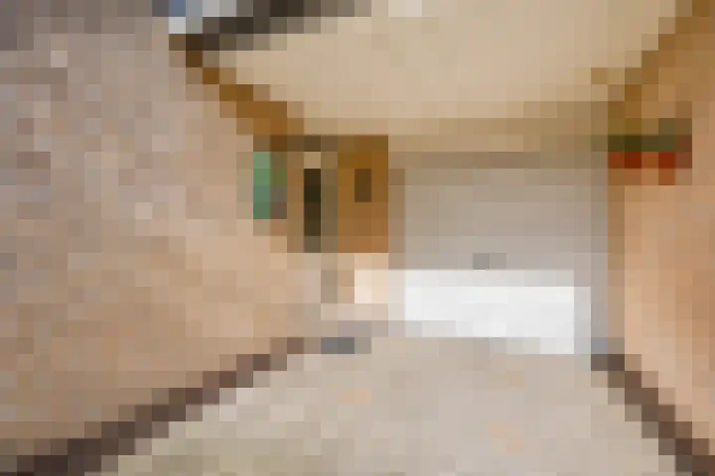Woubrechterf 47 Waddinxveen thumbnail 4