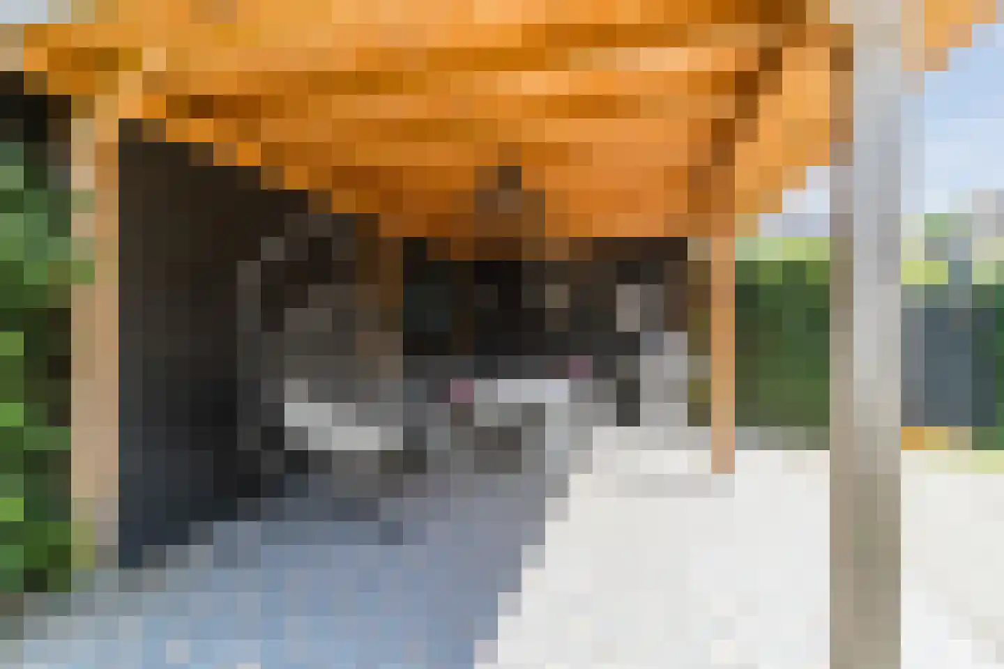 Woubrechterf 59 Waddinxveen thumbnail 50