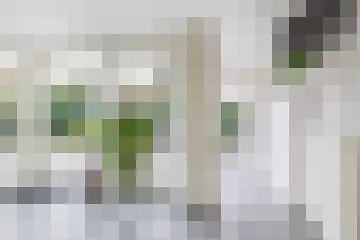 Woubrechterf 94 Waddinxveen thumbnail 13