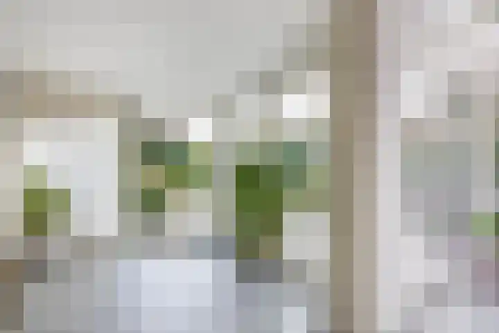Woubrechterf 94 Waddinxveen thumbnail 14