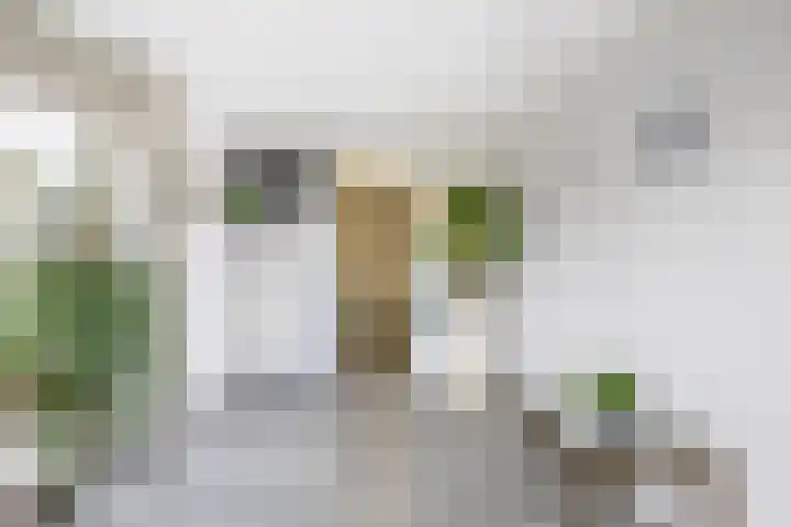 Woubrechterf 94 Waddinxveen thumbnail 15
