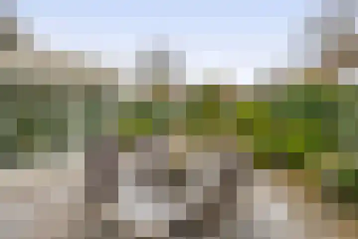 Woubrechterf 94 Waddinxveen thumbnail 16
