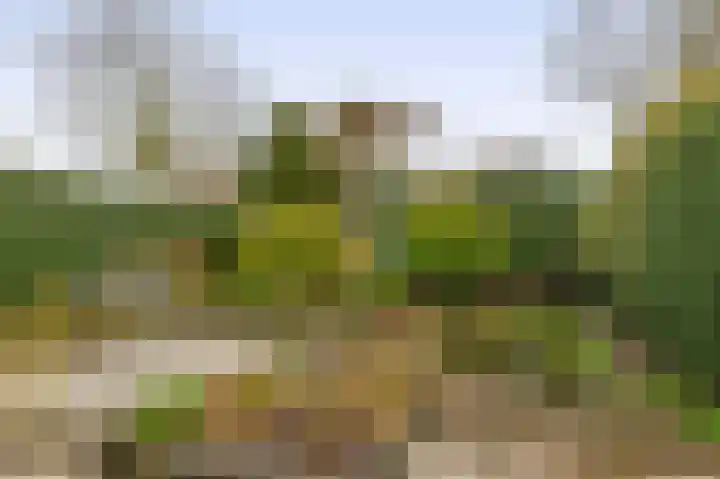 Woubrechterf 94 Waddinxveen thumbnail 17