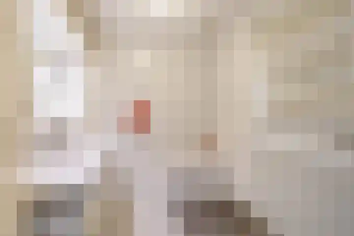 Woubrechterf 94 Waddinxveen thumbnail 24