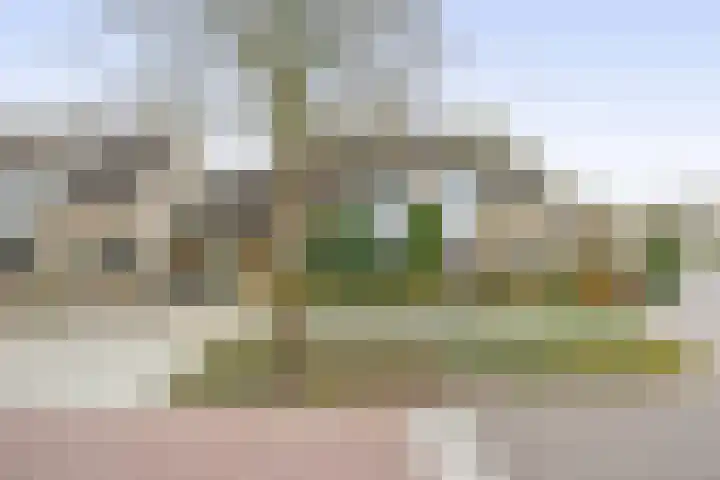 Woubrechterf 94 Waddinxveen thumbnail 34