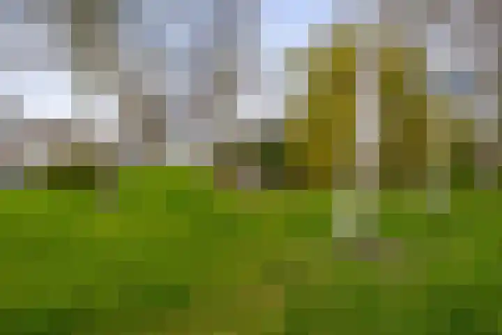 Woubrechterf 94 Waddinxveen thumbnail 38