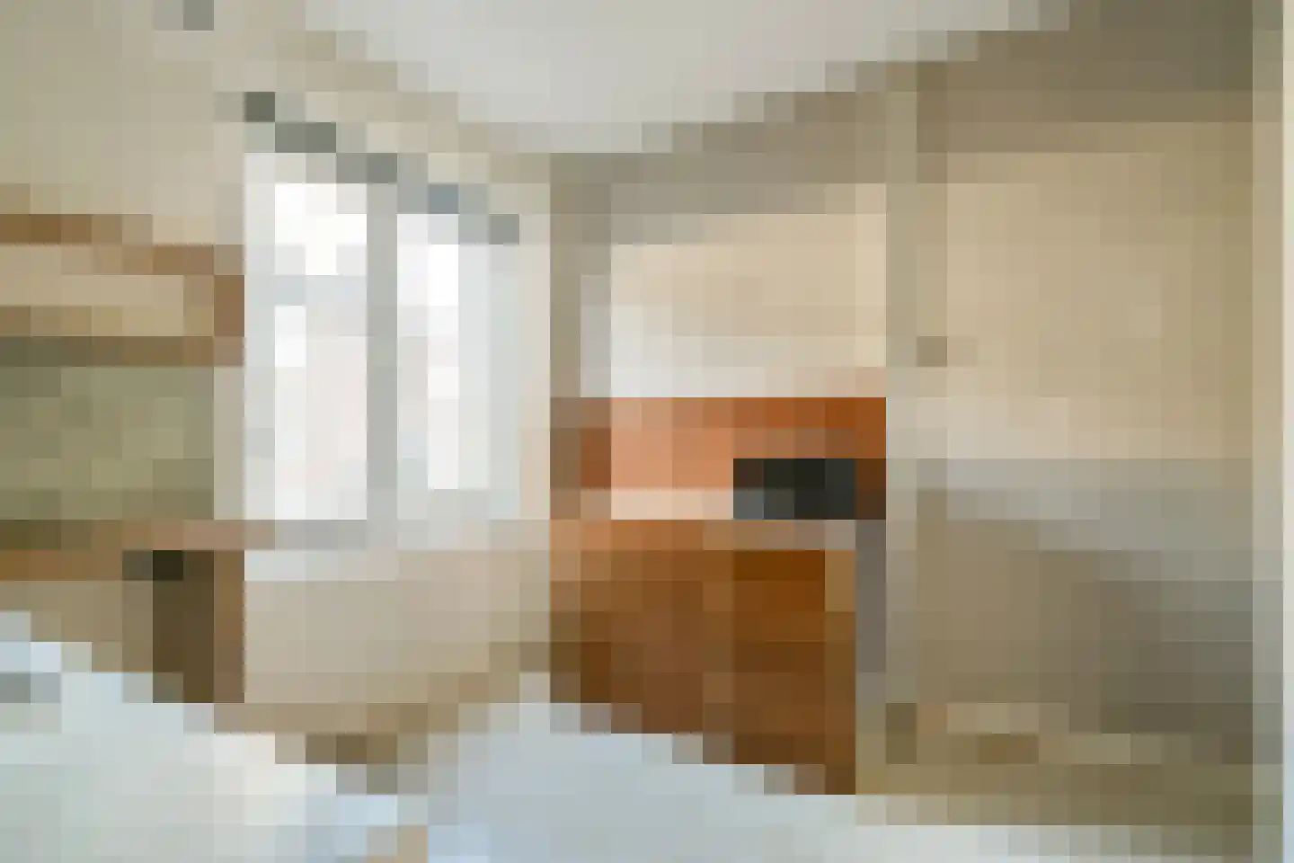 Woubruggestraat 3 2 Amsterdam thumbnail 14